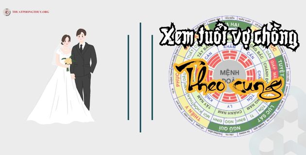 Xem tuổi vợ chồng theo cung luận tốt xấu và ý nghĩa phong thủy